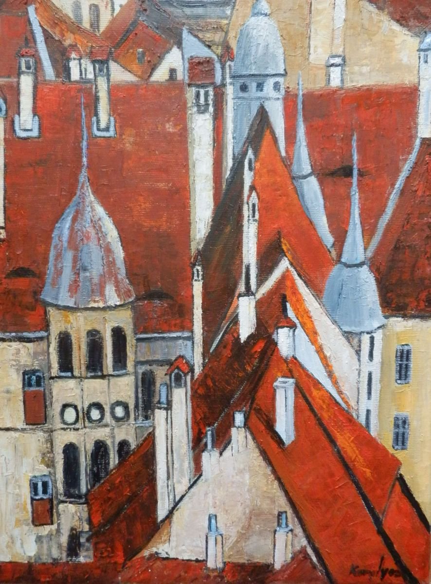 Roofs and chimneys in Sighisoara by Maria Karalyos