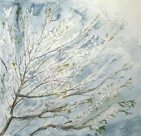 Spring!
