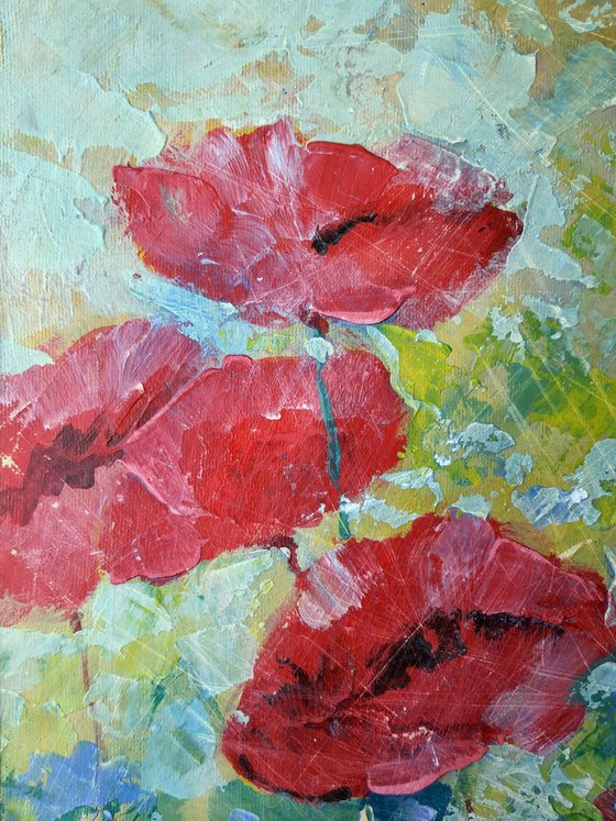 Poppies 10