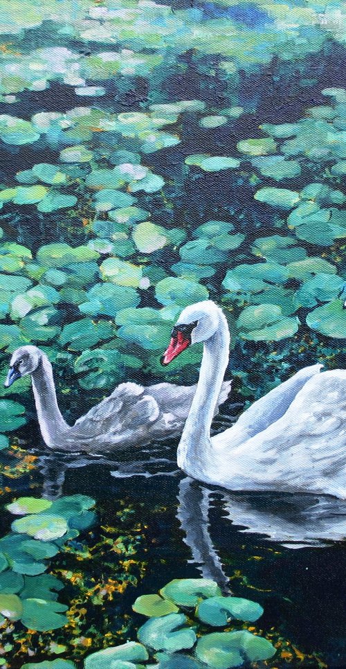 Swan and Cygnets by Zoe Elizabeth Norman
