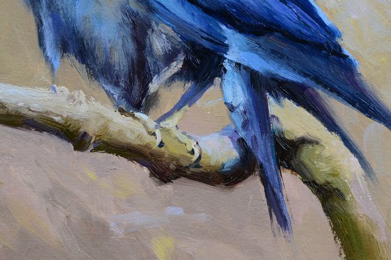 Talking raven