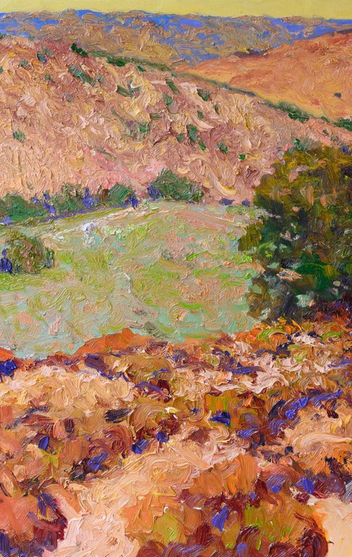 California Foothills. Summer by Suren Nersisyan