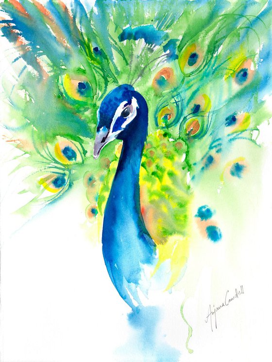 Peacock painting, bird watercolour, watercolor, exotic bird, peacock art, blue and green