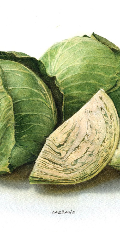 Cabbage by REME Jr.