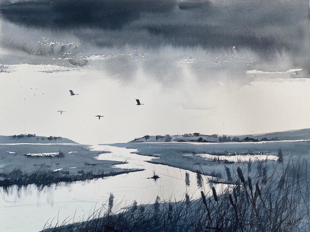 Monochrome - After the rain geese over marshes by Teresa Tanner