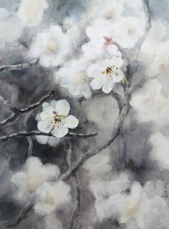 Whisper of Plum Blossoms