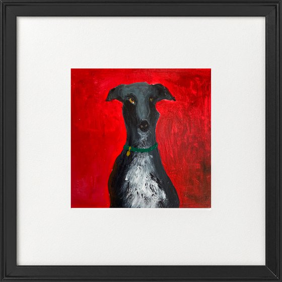 Posing Black Greyhound on Bright Red