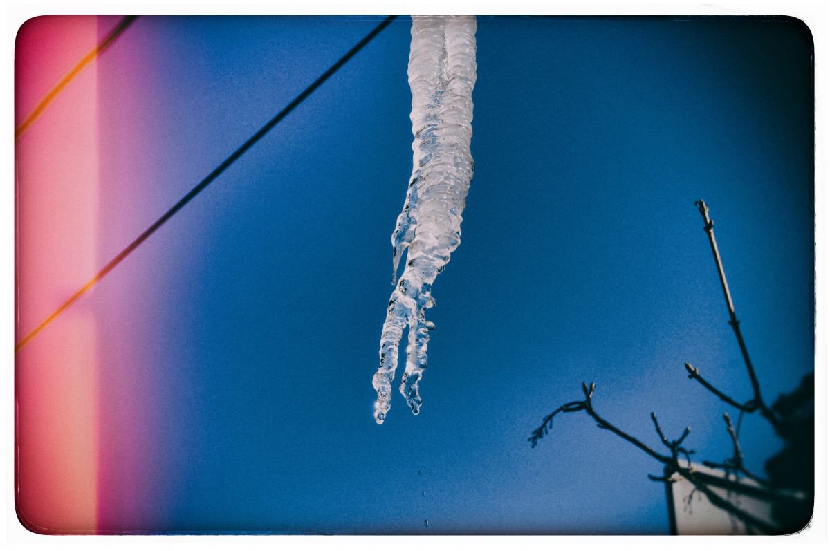 Organic Photograph , Icicle Three Drips By Marc Ehrenbold, 40 X 30, Artwork For Sale On Artfinder