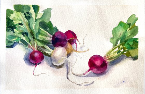 Radish