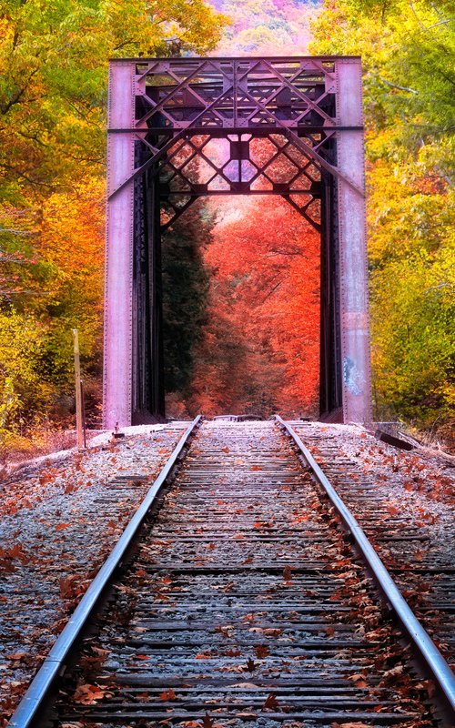 Fourth Iron Trestle by Francois de Melogue