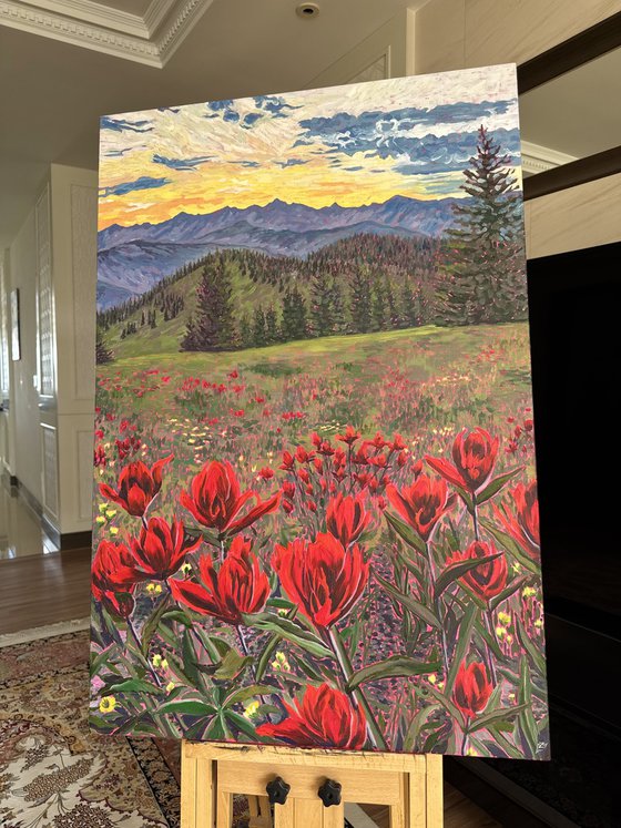 Scarlet Indian Paintbrush at Sunset