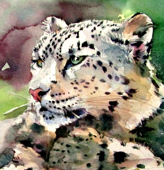 Snow leopard