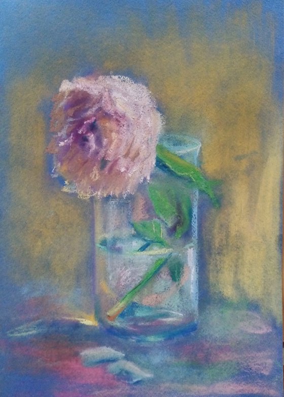 Peony's Flow