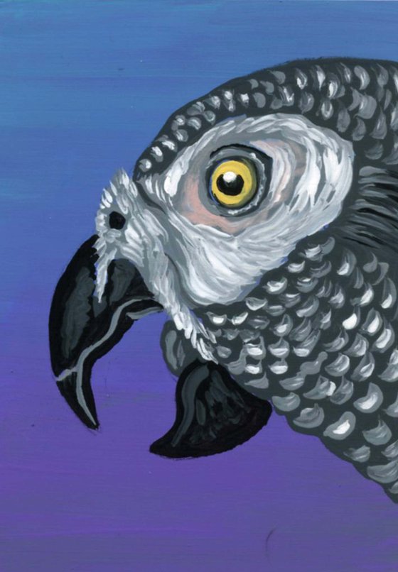 ACEO ATC Original Miniature Clayboard Painting African Grey Gray Parrot Bird Art-Carla Smale