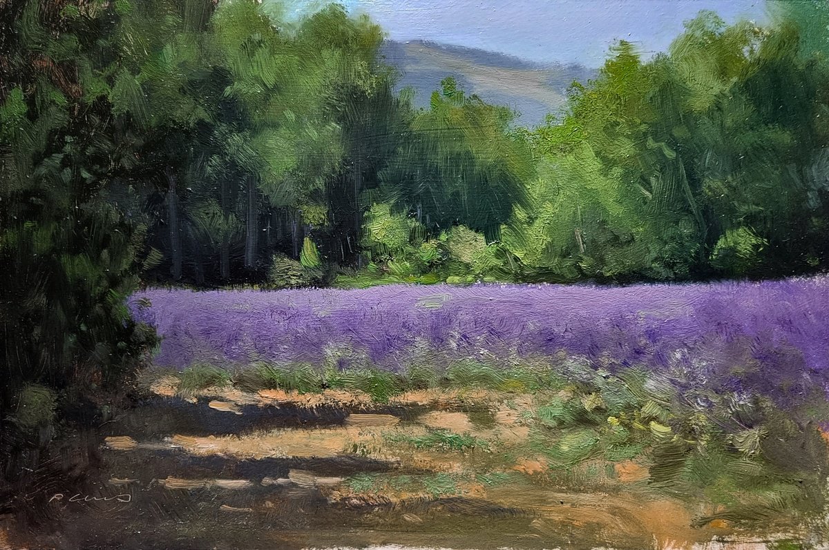 Lavander Field at Les Puys by Pascal Giroud