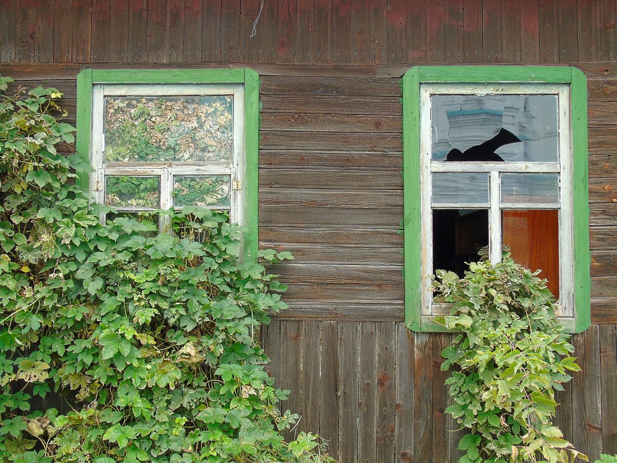 Two old windows in an abandoned house by Olexsandr Tsytsenko