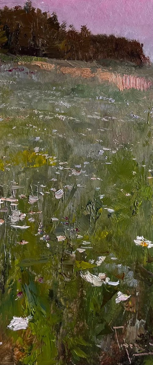 Mild evening by Denys Gorodnychyi