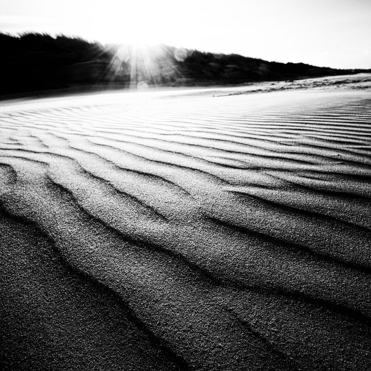 sand fever by heavy wind by Christian Schwarz