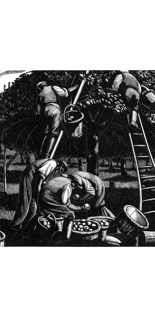 September: Apple Picking by Clare Leighton
