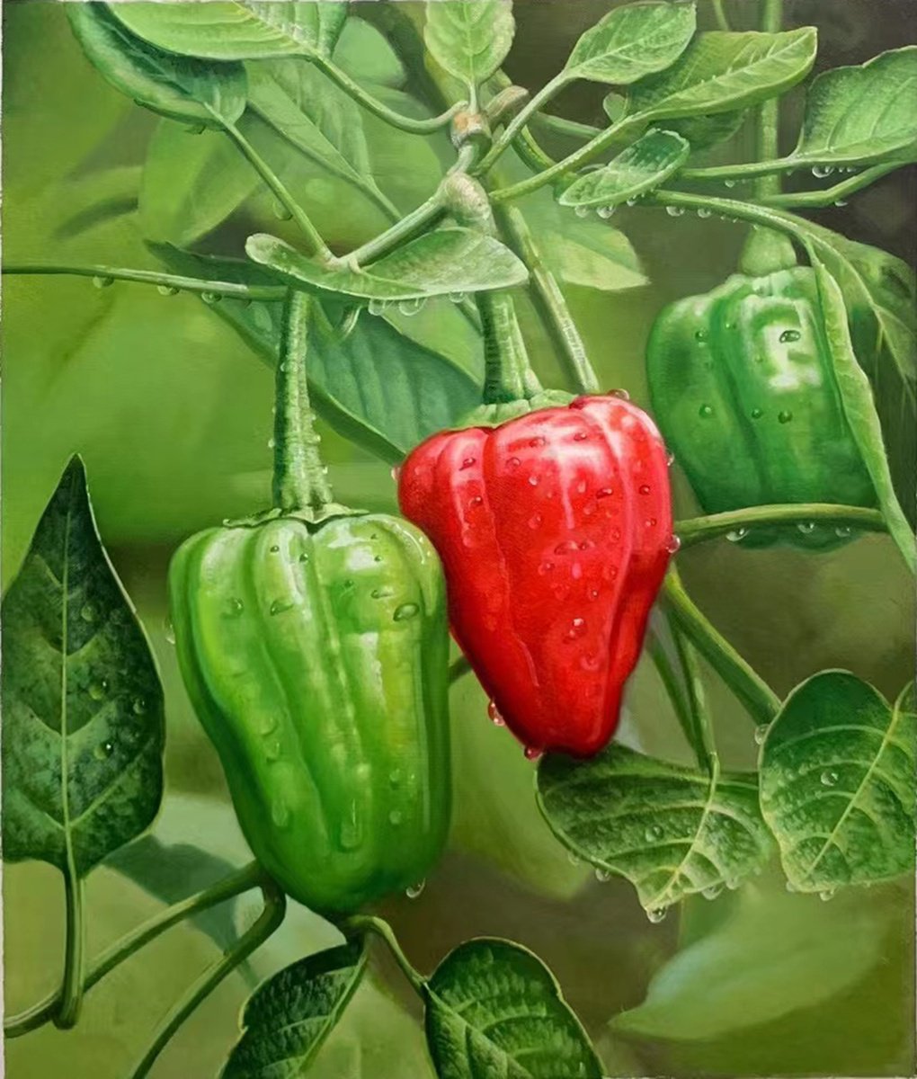 Photorealistic Still Life Oil Painting By Kunlong Wang, 20 X 24", Green And Red Peppers T237, Original Artwork