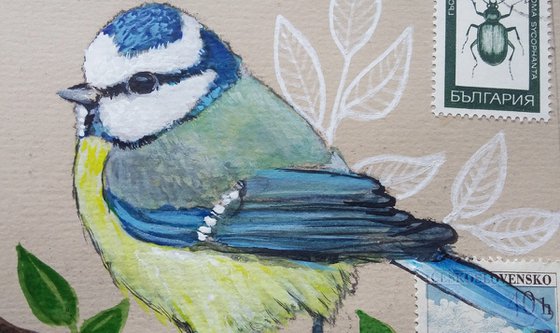 The blue tit feather  (framed and ready to hang)