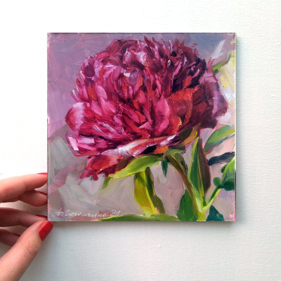 Red peony