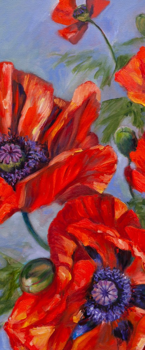 Poppies by Liudmila Pisliakova