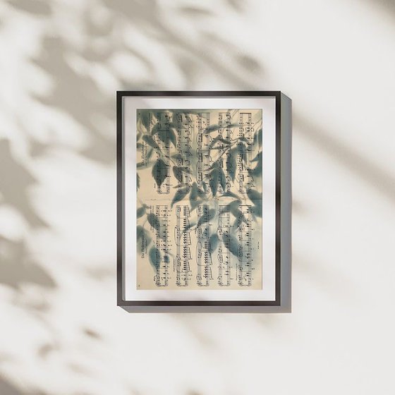 Shadows on Sheet Music - Soft Blue Leaves