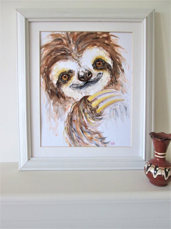 Three toed Sloth portrait