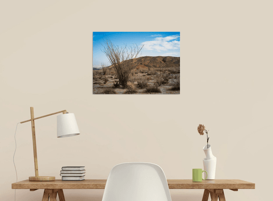 Anza Borrego #2