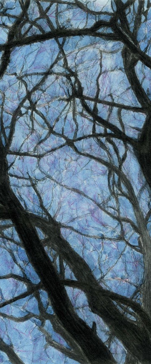 BETWEEN BRANCHES (Twilight) by Nives Palmić