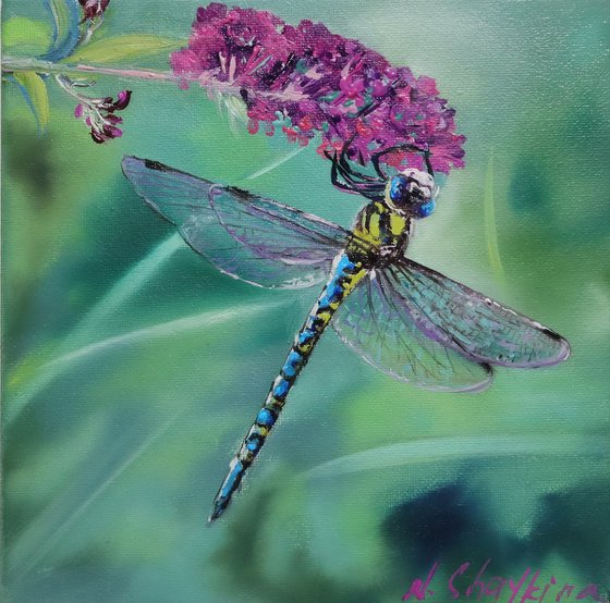Blue Dragonfly on Pink Flower