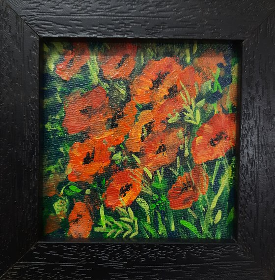 Red Poppies Miniature art