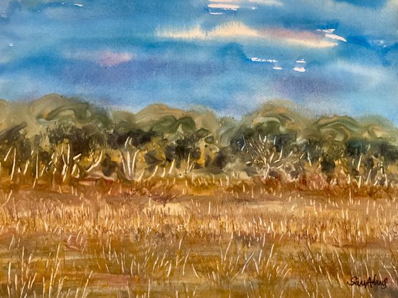 Durlston country park, Dorset