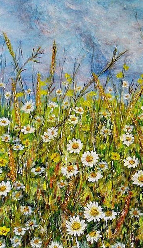 Meadow full of flowers.. by Emília Urbaníková