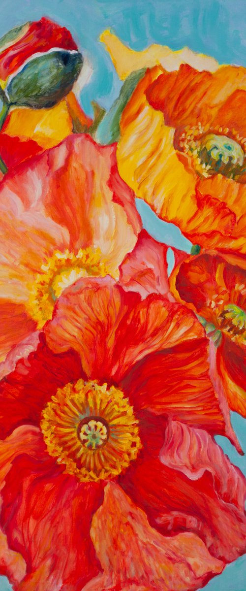 Poppies by Liudmila Pisliakova