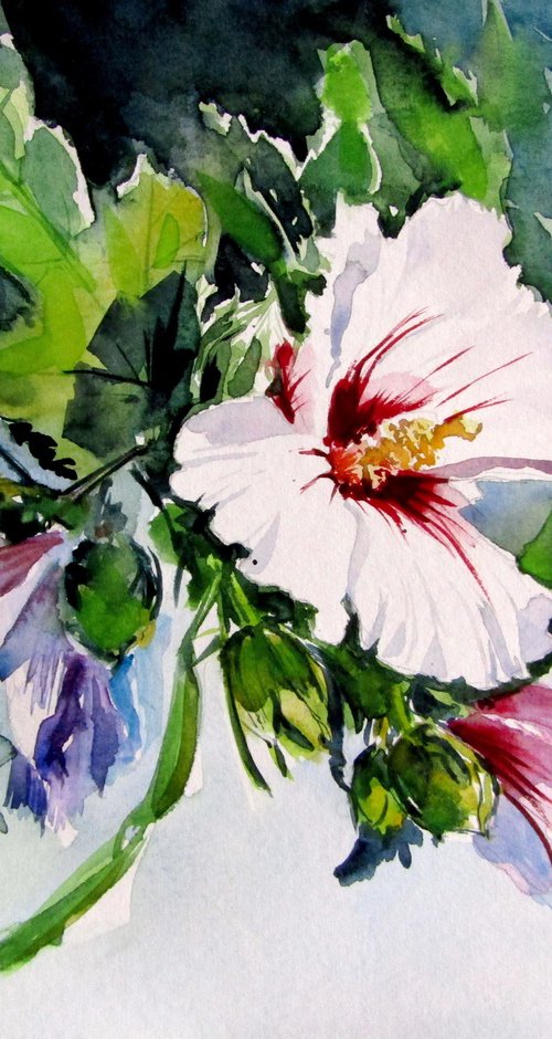 Mallow by Kovács Anna Brigitta