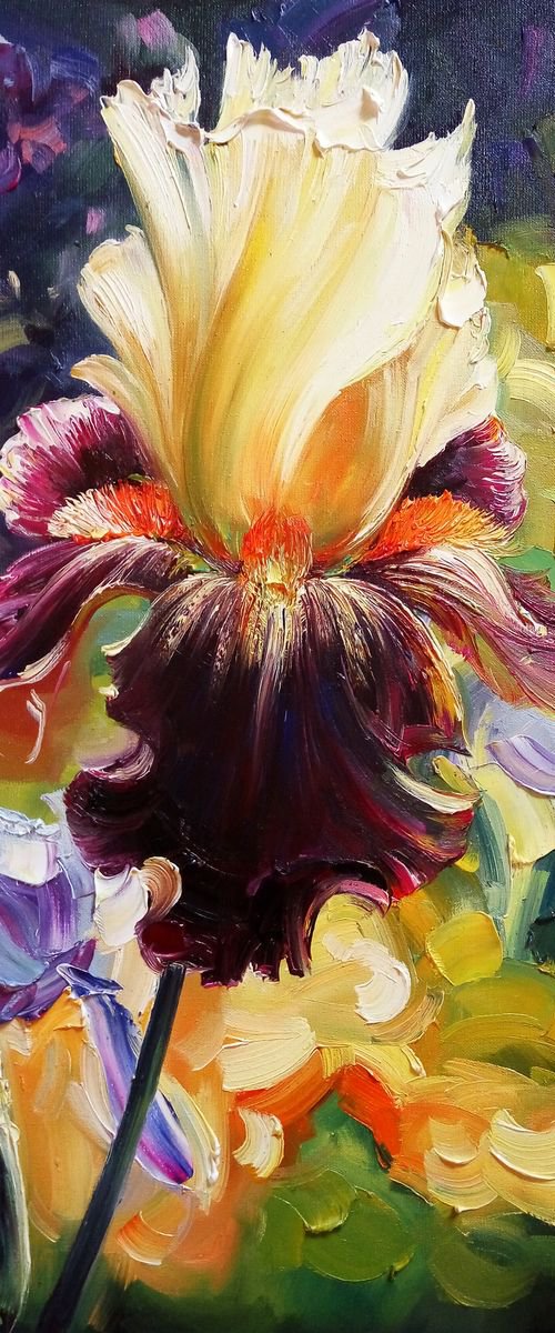 Iris by Artem Grunyka