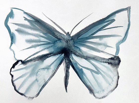 Butterfly Study No. 3