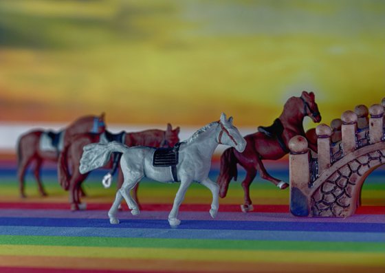 Over the Rainbow Bridge