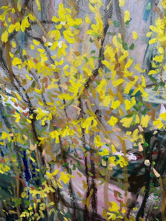 Garden awaits the spring. Forsythia Golden Bell