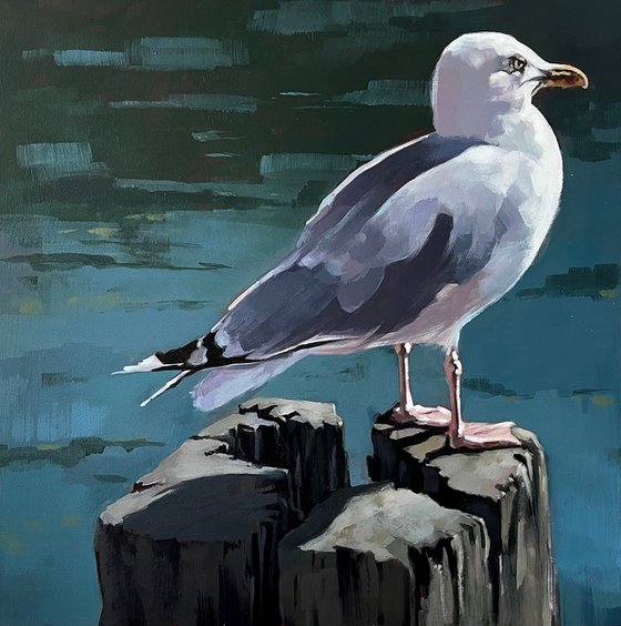 Seagull