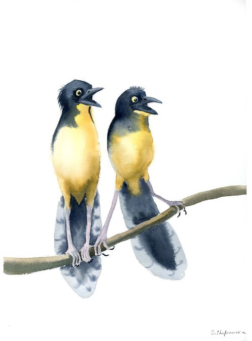 The surprised birds by Olga Shefranov (Tchefranov)