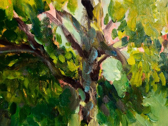 Professor's Patient Gaze