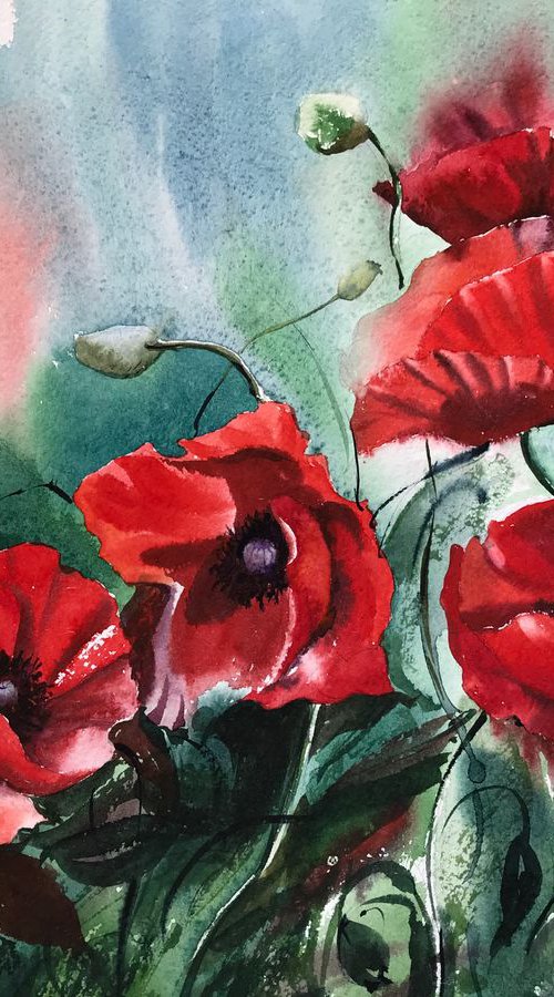Growing Poppies by Eugenia Gorbacheva