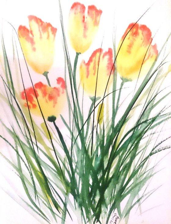 tulips