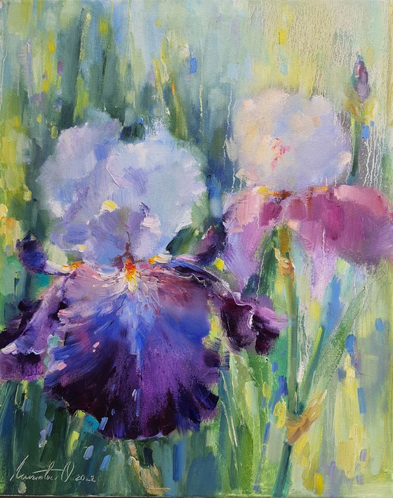 Irises on a sunny day