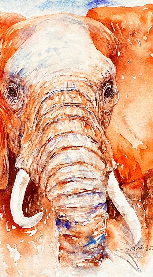 Tara the Elephant by Arti Chauhan