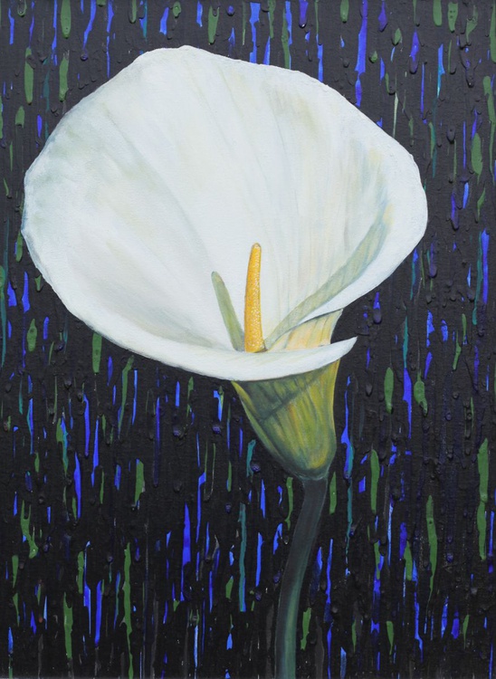 Calla Lily Oil Painting By Liudmila Pisliakova Artfinder