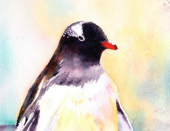 Penguin painting, Penguin and chick, Original Watercolour, Watercolor, Gentoo